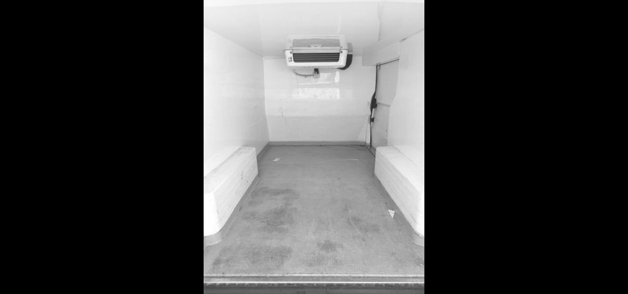 RENAULT TRAFIC COIBENTATO E FRIGO - usata in vendita Abruzzo Marche 1